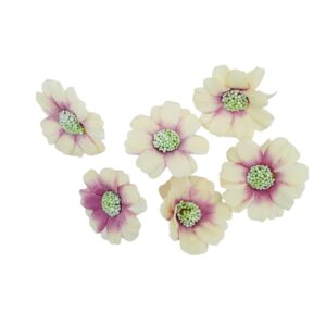 Flor margarita Beige con lila