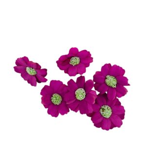 Flor margarita Bugambilia