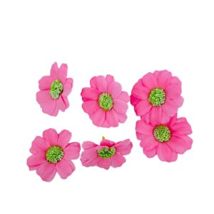 Flor margarita Rosa chicle