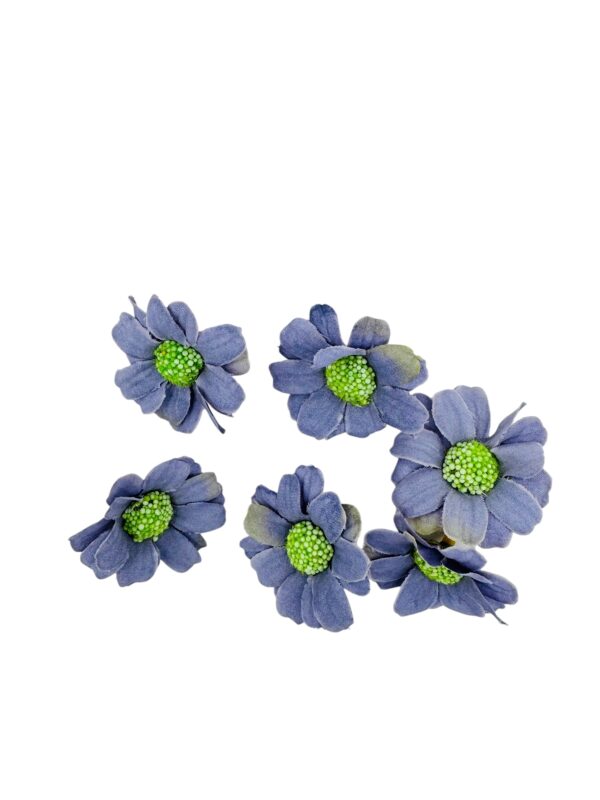 Flor margarita Lavanda