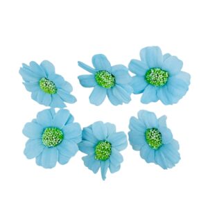 Flor margarita Celeste