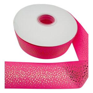 Liston con holograma fiusha 5cm
